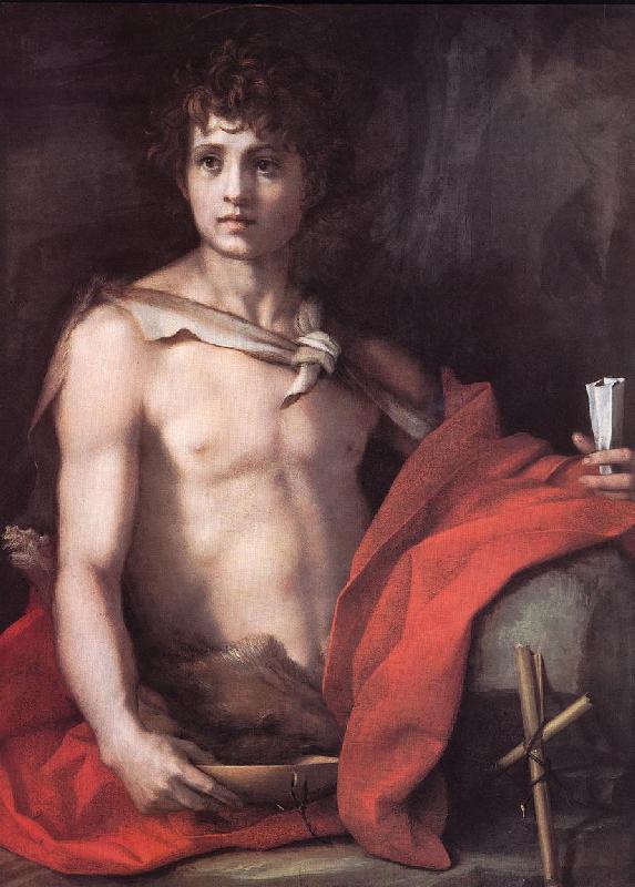 Andrea del Sarto St John the Baptist Sweden oil painting art